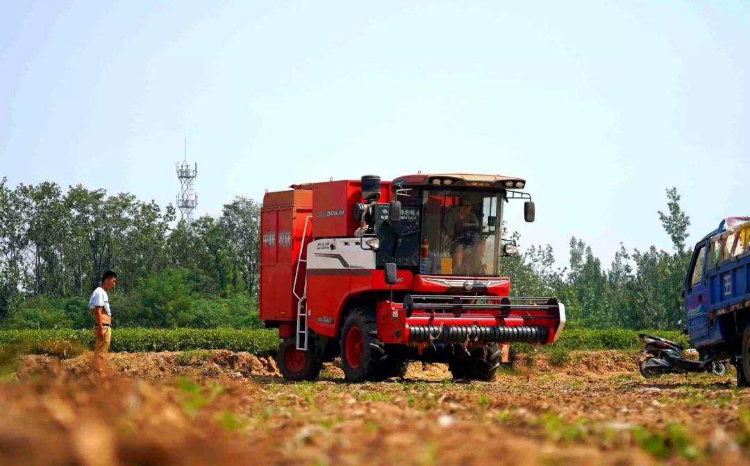農(nóng)民致富神器原來是——鄭州中聯(lián)收獲花生撿拾收獲機 神器3.jpg