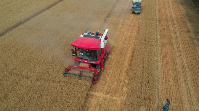 邯鄲魏縣常振明:我的
臺(tái)谷物聯(lián)合收割機(jī)——中聯(lián)收獲“新疆-9” xmsgj-1.png