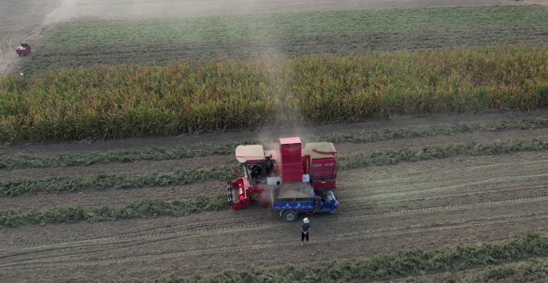 打工受限 開中聯(lián)收獲花生機(jī)無限可能 1712580632954093.png