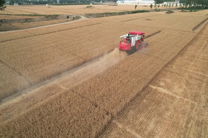 河南新鄉(xiāng)于師傅:喜歡機(jī)械,更喜歡中聯(lián)收獲 1715778275336143.png